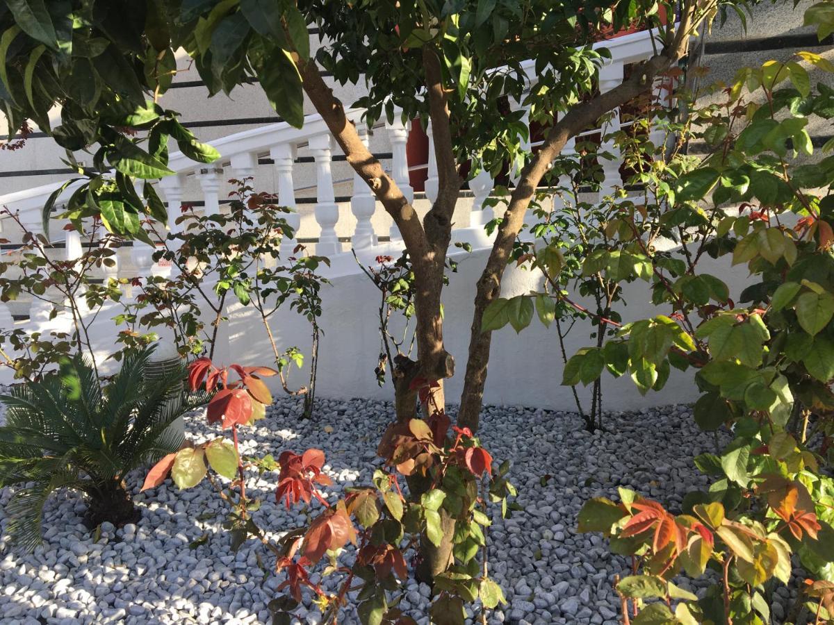 Hotel Torres I Villanueva Del Arzobispo Bagian luar foto